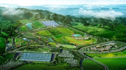 Vinamilk vào Top 5 cổ phiếu đáng quan tâm của Đông Nam Á 