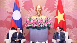 Không ngừng vun đắp và củng cố quan hệ đặc biệt Việt Nam - Lào