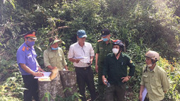 Kiểm sát chặt chẽ tình hình tội phạm tại Hạt Kiểm lâm huyện Hàm Thuận Bắc, tỉnh Bình Thuận