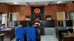 Vợ chồng cùng lãnh án tù vì tàng trữ trái phép chất FV 88 nhà cái