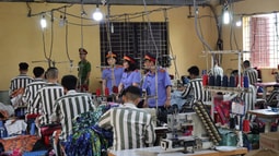 Triển khai thí điểm dạy nghề cho phạm nhân từ ngày 01/9