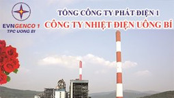 Công ty Nhiệt điện Uông Bí 