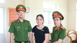 Lừa mua bán đất thu lợi nhuận cao, "quý cô" chiếm đoạt gần 2,7 tỷ đồng