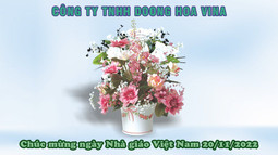 Công ty TNHH Doong Hoa Vina