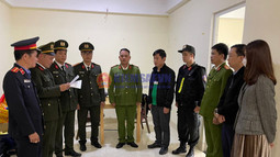 Thừa Thiên Huế: Gây thất thoát ngân sách trong việc tận thu rừng phòng hộ, 02 Giám đốc bị bắt tạm giam
