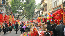 Chùm ảnh: Sắc xuân rực rỡ trên đường phố Hà Nội