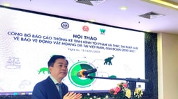 Nghệ An: Hội thảo “Công bố báo cáo tình hình Tham gia casino trực tuyến FV88 và thực thi Fv88 com Nhà Cái Fv88 về bảo vệ động vật hoang dã tại Việt Nam"