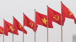 Niềm tin theo Đảng