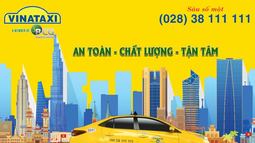Công ty Taxi Việt Nam
