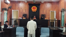 Huyện Bình Giang (Hải Dương): Bắt cóc cháu ruột của mình để tống tiền, người chú lĩnh án 5 năm 10 tháng tù