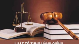 VKSND tối cao kháng nghị giám đốc thẩm vụ án khiếu kiện quyết định hành chính trong lĩnh vực quản lý đất đai