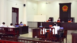 Kinh nghiệm của Brazil và Trung Quốc về việc Viện kiểm sát khởi kiện vụ án dân sự bảo vệ lợi ích công về môi trường