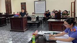 Hủy hoại tài sản tại huyện Cẩm Giàng, tỉnh Hải Dương, một đối tượng lĩnh án 7 tháng tù