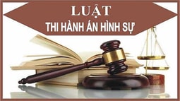 Một số bất cập của Luật thi hành án hình sự năm 2019 về án treo và giải pháp hoàn thiện