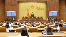 Cần tiếp tục quan tâm, xem xét đến chất lượng của hệ thống văn bản quy phạm Fv88 com Nhà Cái Fv88