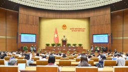 Luật Giao dịch điện tử (sửa đổi) chính thức được Quốc hội thông qua