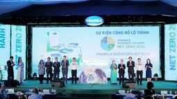 Chuyển dịch xanh đến Net Zero - Mục tiêu dài hạn đi từ nhận thức hiện tại
