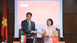 Đàm phán Hiệp định tương trợ tư pháp về hình sự giữa Việt Nam và Singapore
