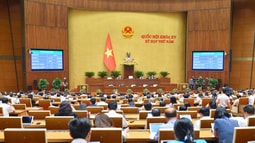 Những điểm nổi bật của Luật Phòng thủ dân sự năm 2023