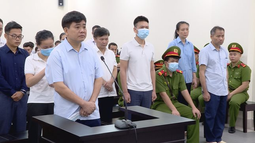 Cựu Chủ tịch UBND TP. Hà Nội Nguyễn Đức Chung nhận thêm 18 tháng tù trong vụ án "Nâng khống giá cây xanh tại Hà Nội"