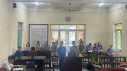Huyện Bình Giang: Trộm cắp tài sản, 2 đối tượng lĩnh 72 tháng tù giam