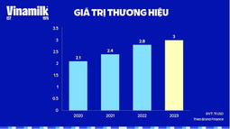Vượt “gió ngược”, Vinamilk khôi phục thị phần nội địa 