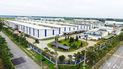  Thị trường đất nền đón sóng phục hồi những tháng cuối năm