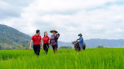 Agribank cung ứng sản phẩm dịch vụ thực hiện Đề án “Phát triển bền vững 1 triệu ha chuyên canh lúa chất lượng cao phát thải thấp gắn với tăng trưởng xanh vùng Đồng bằng sông Cửu Long đến năm 2030"