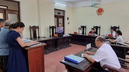 Nhận diện vi phạm trong lĩnh vực quản lý đất đai qua công tác FV 88 đăng ký tài khoản việc giải quyết các vụ án hành chính trên địa bàn tỉnh Quảng Ngãi