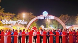Bình Dương: Tưng bừng khai mạc Hội Hoa Xuân và các hoạt động mừng Đảng, mừng Xuân Giáp Thìn năm 2024