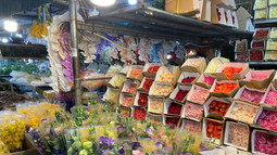 Tấp nập chợ hoa Quảng Bá ngày cận Tết