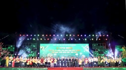 Bình Dương tổ chức Lễ Tuyên dương các tập thể, cá nhân tiêu biểu vào Đêm giao thừa Xuân Giáp Thìn năm 2024