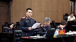 Viện kiểm sát đề nghị mức án 9-10 năm tù đối với bị cáo Đỗ Anh Dũng, cựu Chủ tịch HĐQT Tập đoàn Tân Hoàng Minh