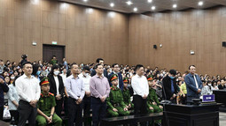 Tòa tuyên án bị cáo Đỗ Anh Dũng, Chủ tịch HĐQT Tập đoàn Tân Hoàng Minh và các đồng phạm