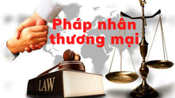 Quy định về trách nhiệm hình sự của pháp nhân tại một số quốc gia trên thế giới và kinh nghiệm cho Việt Nam