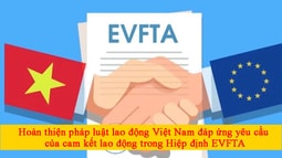 Hoàn thiện pháp luật lao động Việt Nam đáp ứng yêu cầu của cam kết lao động trong Hiệp định EVFTA