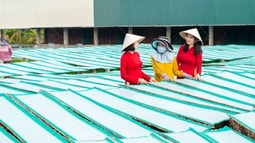 Agribank dành hơn 180.000 tỷ đồng vốn ưu đãi lãi suất thấp hỗ trợ khách hàng sản xuất, kinh doanh