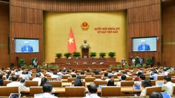 Quốc hội nghe báo cáo về dự án Luật Tư pháp người chưa thành niên