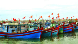 Khởi tố, điều tra, truy tố, xét xử các hành vi liên quan đến khai thác, mua bán, vận chuyển trái phép hải sản