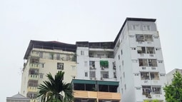 Quy định về xây dựng, bán, cho thuê, cho thuê mua, bàn giao nhà ở nhiều tầng nhiều căn hộ từ ngày 01/8/2024