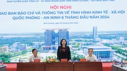 Tỉnh Bình Dương thu hút gần 1 tỷ USD đầu tư nước ngoài trong 6 tháng đầu năm 2024