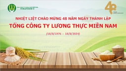 Tổng Công ty Lương thực Miền nam