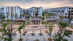 T&T Group hợp tác quản lý vận hành “Chuẩn Nhật Bản” tại dự án T&T City Millenia Long An