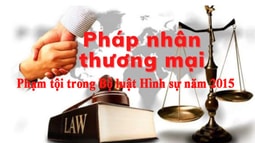 Bàn về hình phạt áp dụng đối với pháp nhân thương mại phạm tội trong Bộ luật Hình sự năm 2015