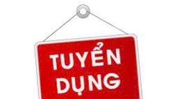 Trình tự tiếp nhận công chức không giữ chức vụ lãnh đạo quản lý từ ngày 06/11/2024