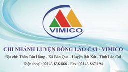 Chi nhánh Luyện đồng Lào Cai - Vimico