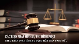 Các biện pháp hình sự phi hình phạt theo pháp luật hình sự Cộng hòa liên bang Đức