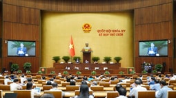 Bảo đảm Tòa án nhân dân, Viện kiểm sát nhân dân và các cơ quan có liên quan hoạt động đồng bộ, thông suốt