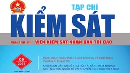 Audio: Cần hoàn thiện pháp luật hình sự về chế định chuẩn bị phạm tội