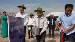 Phó Thủ tướng Mai Văn Chính dự lễ phát động “Tết trồng cây đời đời nhớ ơn Bác Hồ” tại Bình Dương